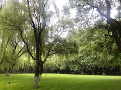 -柳浪闻莺公园