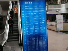 -上海市东方医院(总院)