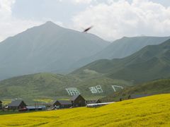 -扁都口生态休闲旅游区