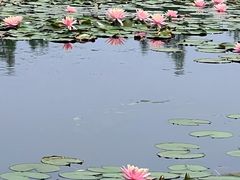 -白鹭湾湿地公园