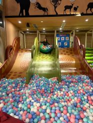 -卡通尼·Safari非洲探索乐园·生日会(金桥国际商业广场店)