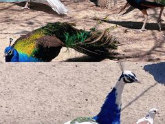 -水上乐园·欢乐世界