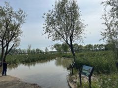 -绿堤公园
