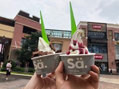 -Salud撒露欧洲冻酸奶(蓝色港湾店)