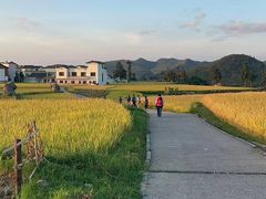 -八卦田遗址公园