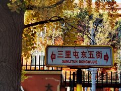 -三里屯东五街银杏大道
