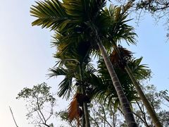 -墨江北回归线标志园