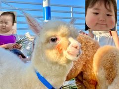 -Blue Concept Cafe&Farm·關於藍