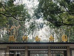 -杭州动物园