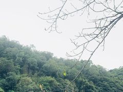 -李小龙乐园(顺德均安店)