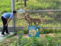 -安徽大青山野生动物世界