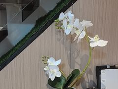 -慢慢中医馆·推拿·艾灸·正骨(上梅林店)