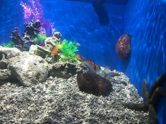 -绍兴梦享海洋公园