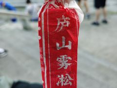 自制庐山雾松老冰棒-望庐说·本地菜馆