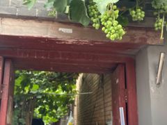 -北京圣祥乳制品厂