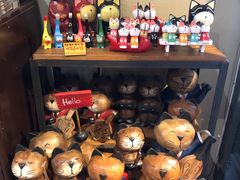 -猫咪博物馆(顶澳仔猫街店)