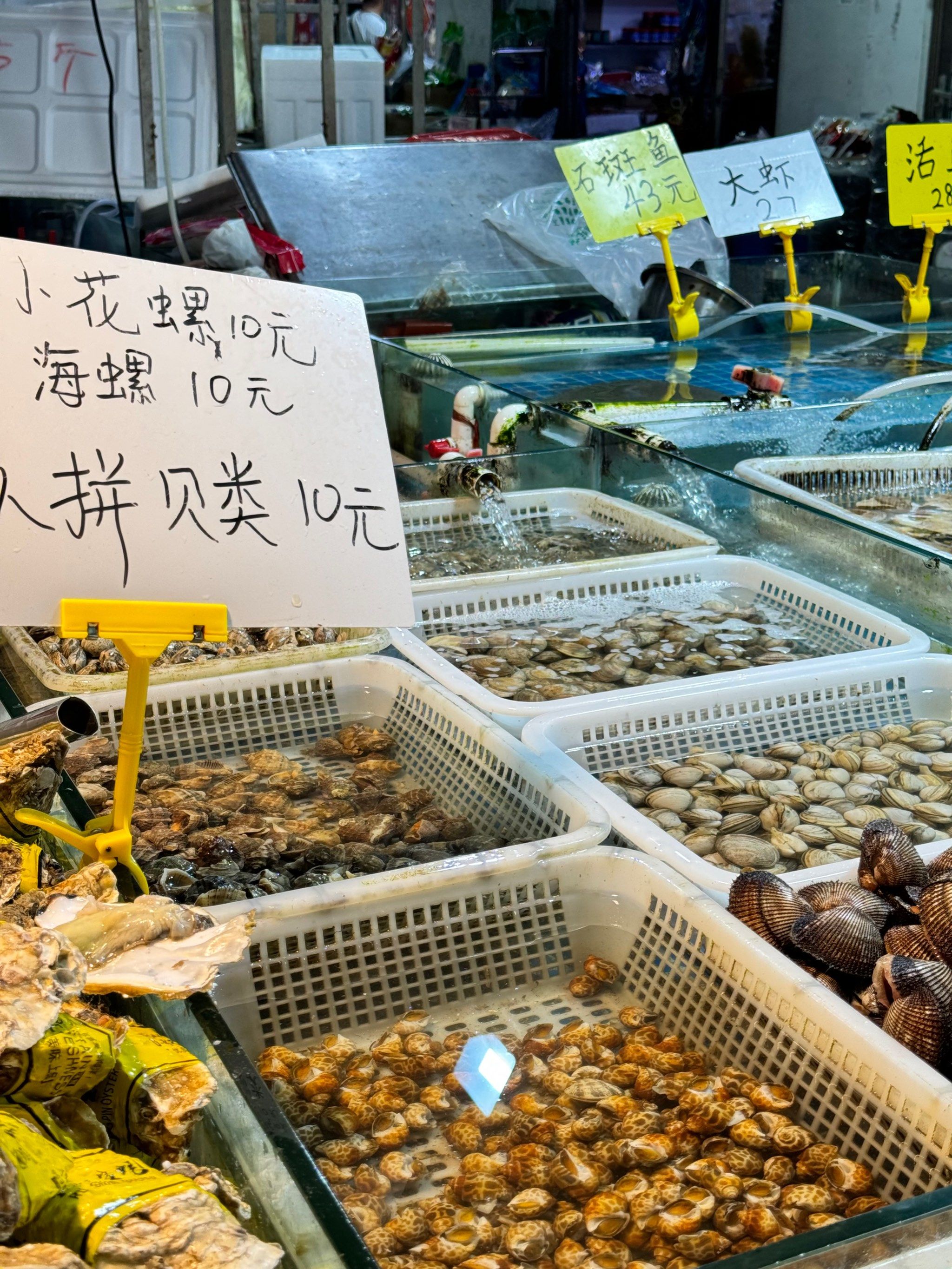 这家海鲜加工超级划算![胜利]