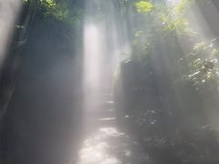 -南昌动物园