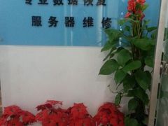 -电脑移动硬盘维修数据恢复西数wd希捷