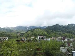 -王顺山国家森林公园