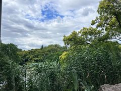 -江心屿景区