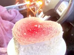 -维尔纳斯·生日蛋糕·动物奶油冰淇淋蛋糕(六里桥店)