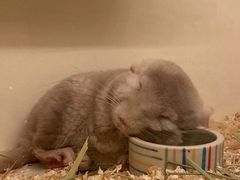 -龙猫仔乐园(惠福东路店)