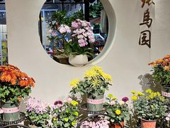 -张鸟园农家乐(张鸟园店)