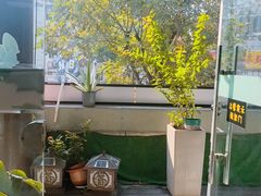 -陈生记黑鱼馆·20年活鱼现杀(宁波鼓楼店)