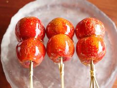 -龙吟山房(青龙山庄店)