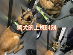 -望京西(地铁站)