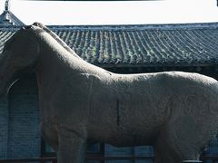 -西安碑林博物馆