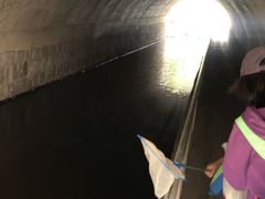 -白水寺森林公园