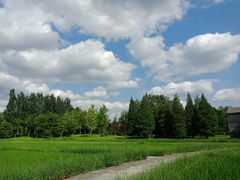 -北坞公园