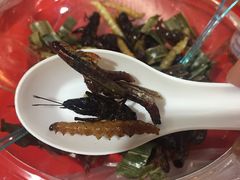 -席娜卡琳火车铁道夜市