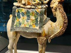 -陕西历史博物馆