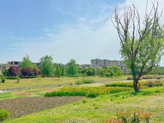 -两河城市森林公园