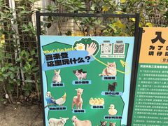 -三亚海棠湾喜来登度假酒店