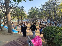 -宝安西湾红树林湿地公园