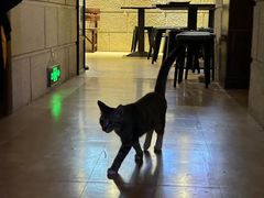 -逃脱反斗城沉浸剧情密室(北京路店)