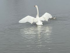 -盐城丹顶鹤湿地生态旅游区