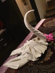 -诗泥SPA