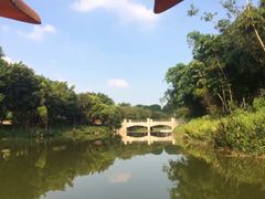 -松山湖南湖湾露营营地