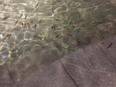 -汇雅温泉
