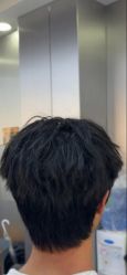 点击看大图 -藤野造型