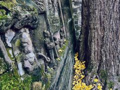 -金堂县云顶石城风景区