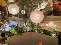 -馋嘴猫北京食堂·烤鸭·宵夜(亚运村店)