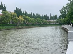 -嘉定紫藤园