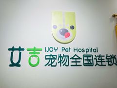 -艾吉宠物医院·疑难杂症转诊中心·猫友好(碧江路院)