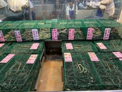 水产区-荔城生鲜盛宴(番禺旗舰店)